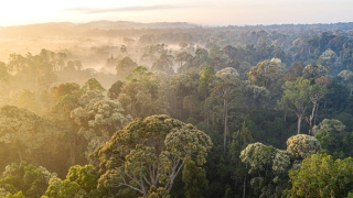 Zázračná planéta: Posledné raje na Zemi - Borneo