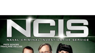 NCIS - Námorný vyšetrovací úrad VIII (1)