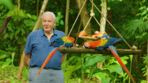 Život vo farbe s Davidom Attenboroughom (2)
