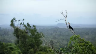 Borneo - prastarý ostrov