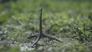 Římské legie - armáda stavitelů