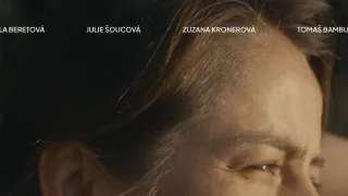 Rok vdovy