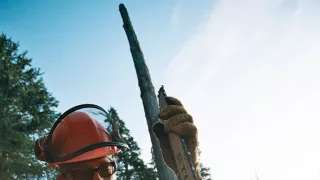 Vzdušní dřevorubci (10)