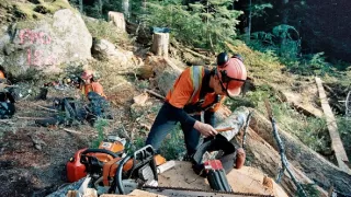 Vzdušní dřevorubci (10)