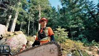 Vzdušní dřevorubci (10)