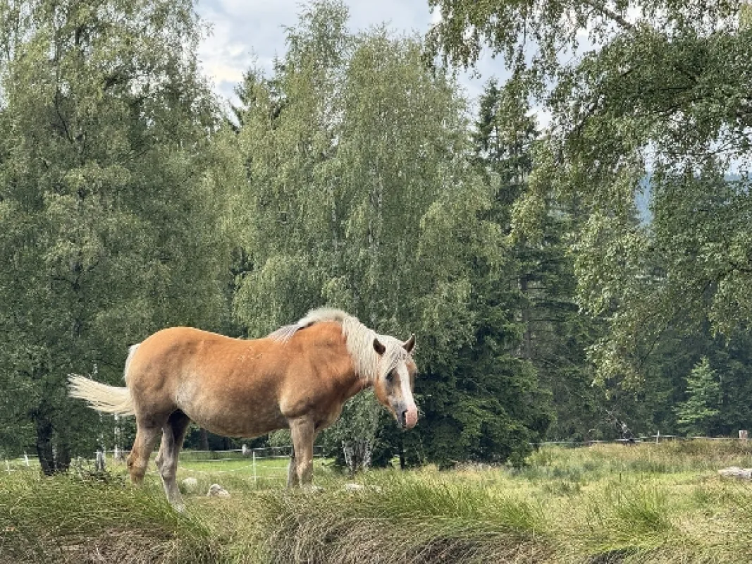 Zpátky do přírody 2 - fotogaléria