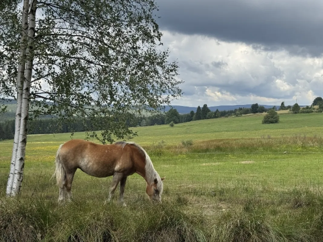 Zpátky do přírody 2 - fotogaléria