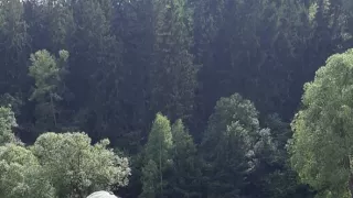 Marko Čermák - poslední romantik