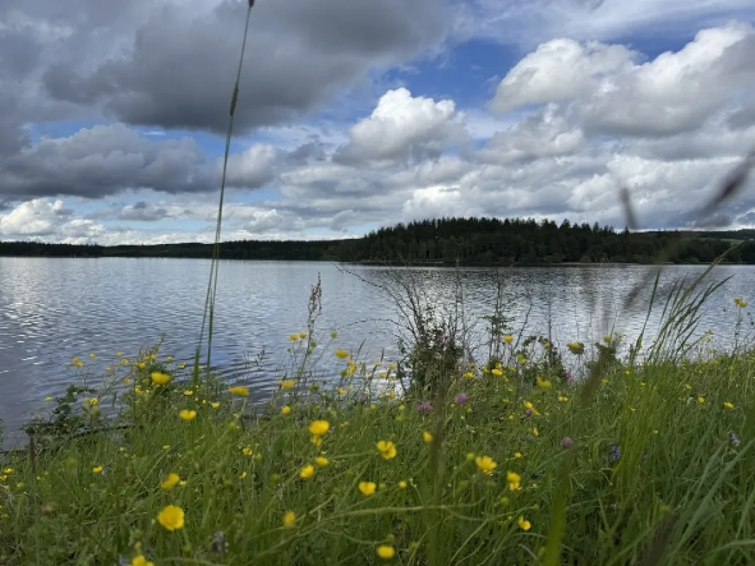 Zpátky do přírody 2 - fotogaléria
