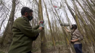 Keď tu nie je človek, zvieratá tancujú (2/2)