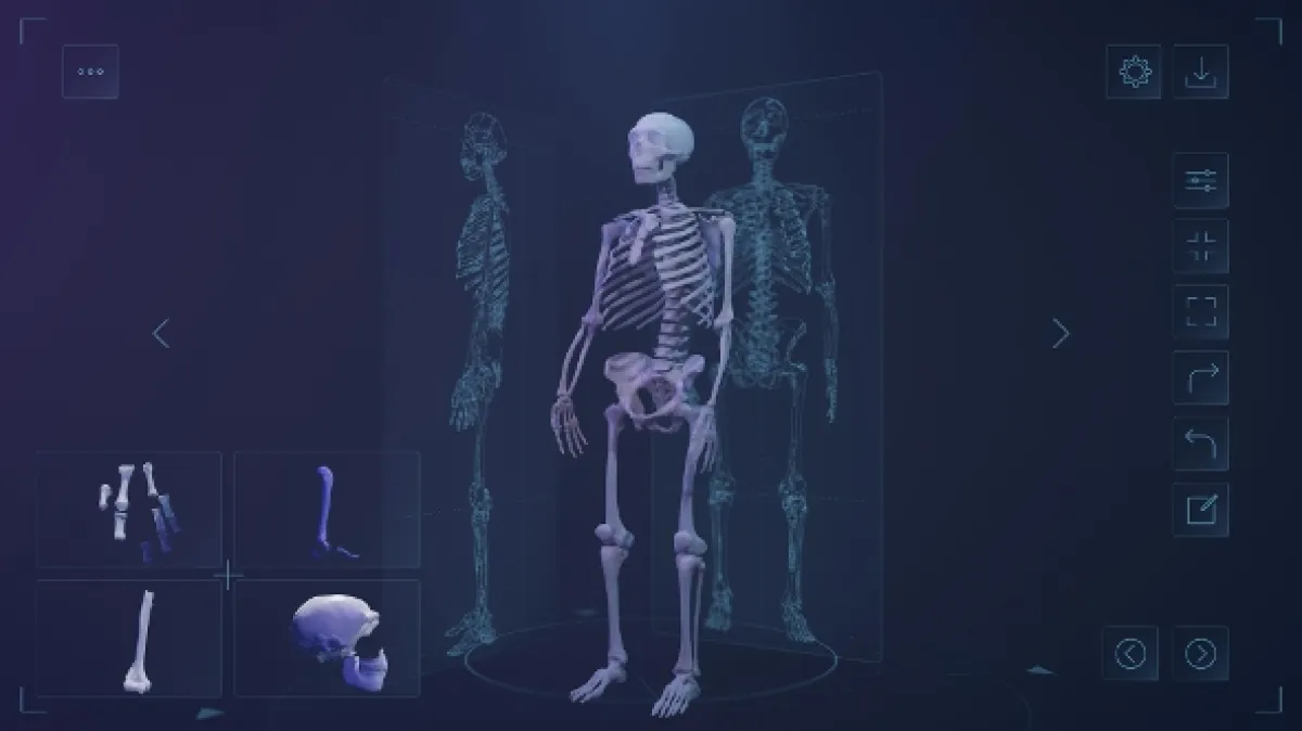 Neandertálci: Kdo má na svědomí naše příbuzné? - fotogaléria