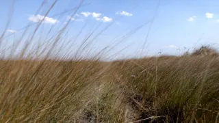 Afrika z výšky