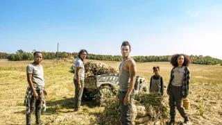 40 akrů