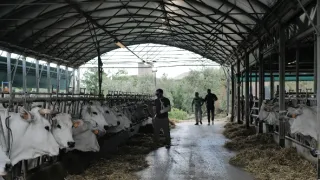Manu a Matěj na cestě po Toskánsku (3/10)
