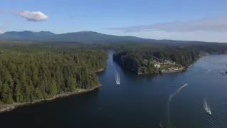 Chiméry - přízraky z hlubin