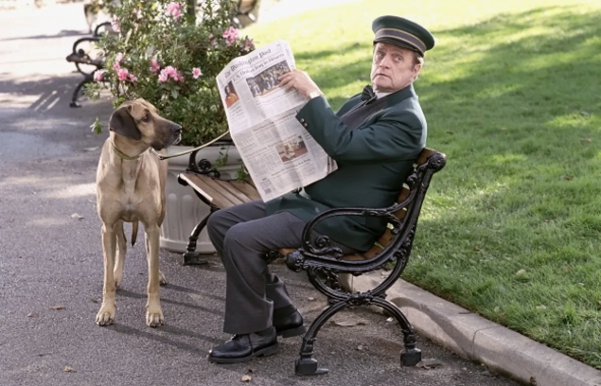 Pravá blondýnka 2 (Legally Blonde 2: Red, White & Blonde), 2003 - fotogaléria