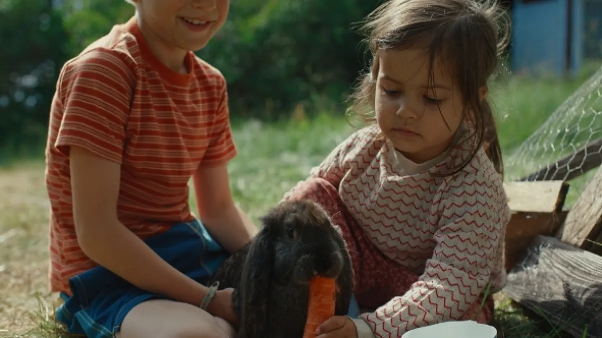Svědectví barevného ostrova, 2025 - fotogaléria