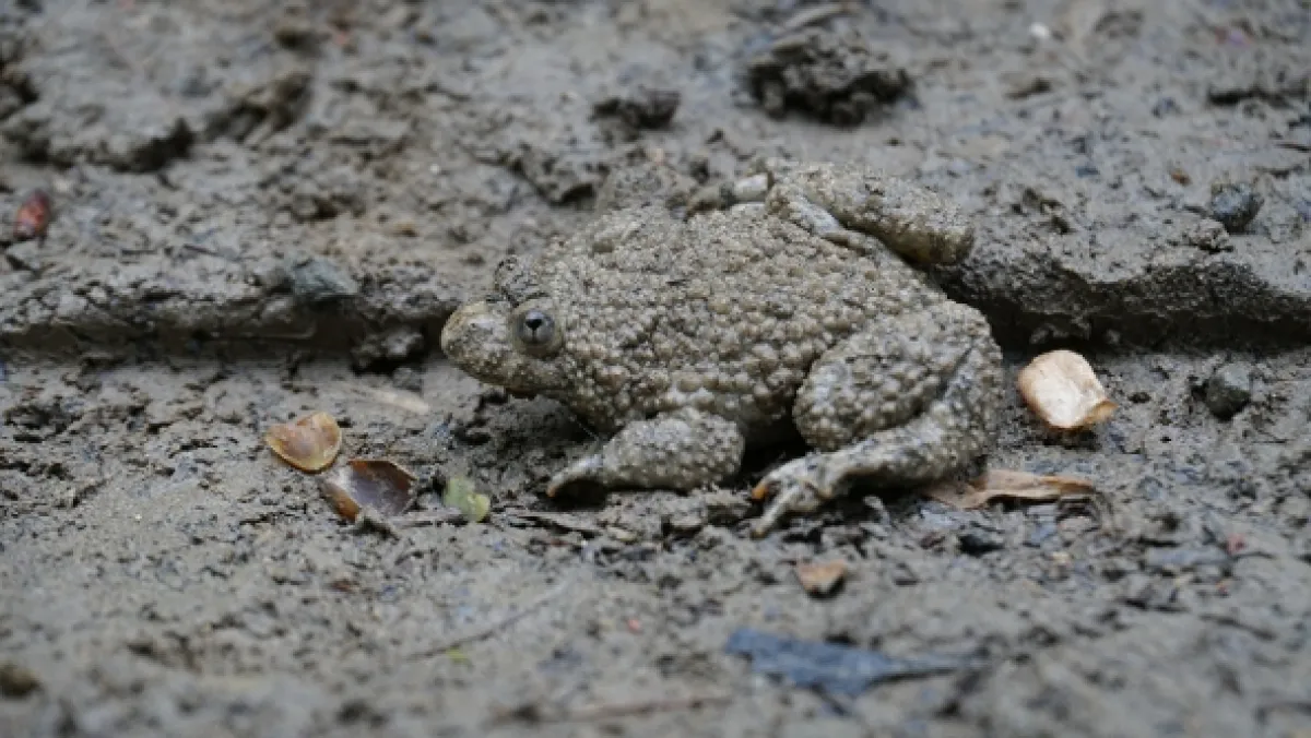 Přírodní divy Bílých Karpat - fotogaléria