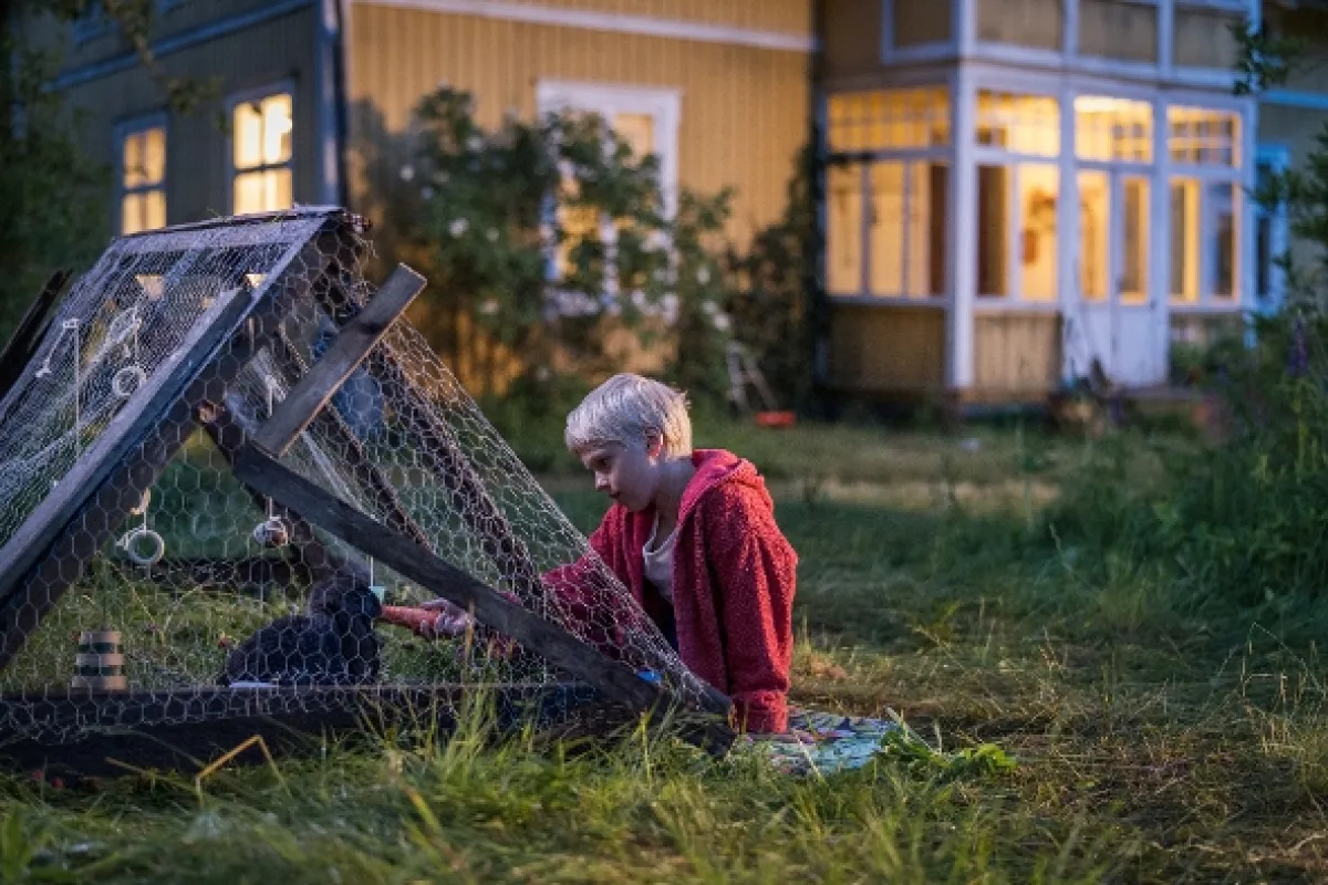 Svědectví barevného ostrova, 2025 - fotogaléria