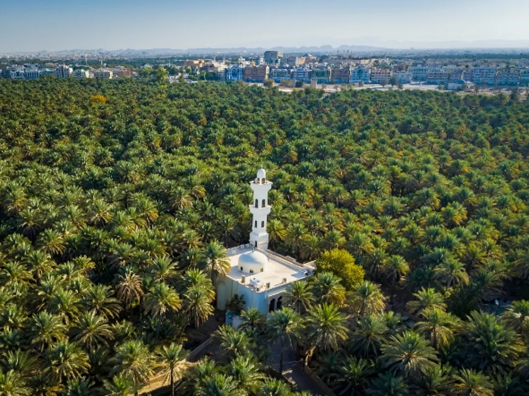 Spojené arabské emiráty z výšky (Emirates from Above), 2021 - fotogaléria