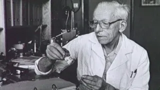 České zázraky