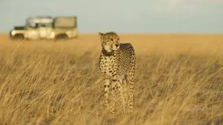 Zázračná planeta: Dynastie II (4/6)