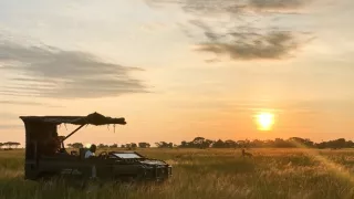 Zázračná planeta: Dynastie II (4/6)