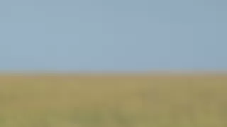 Zázračná planeta: Dynastie II (4/6)