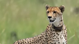 Zázračná planeta: Dynastie II (4/6)