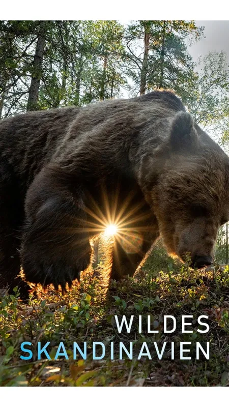 Nezkrotná Skandinávie (Wild Scandinavia), 2023 - fotogaléria