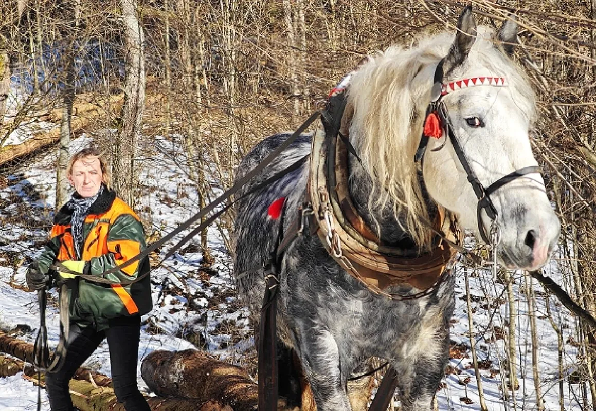 Přírodní divy Bílých Karpat - fotogaléria