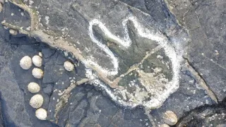 Nová putování s dinosaury (3)