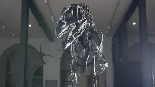 Nová putování s dinosaury (3)