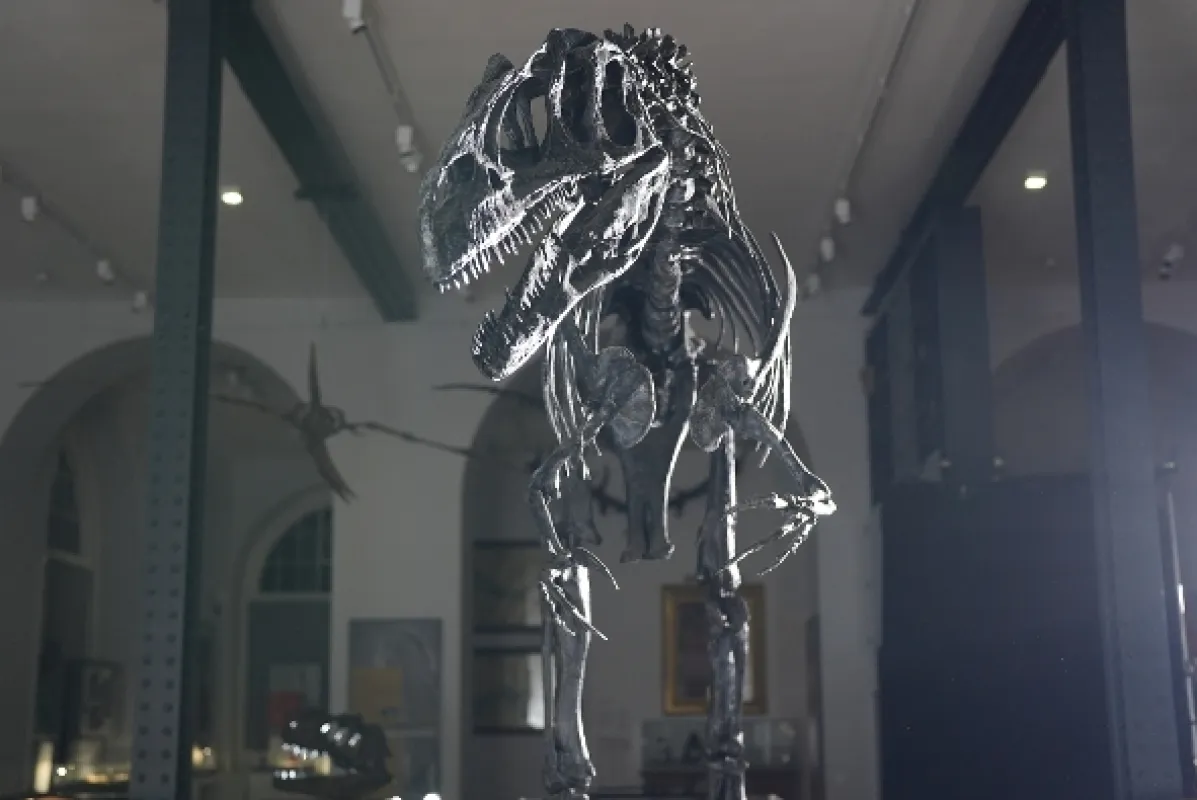 Nová putování s dinosaury, 2026 - fotogaléria