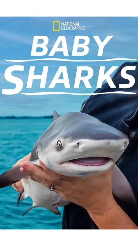 Žraločí batolata (Baby Sharks), 2022 - fotogaléria