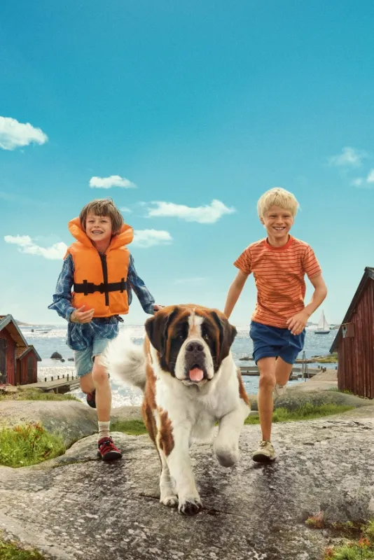 Svědectví barevného ostrova, 2025 - fotogaléria
