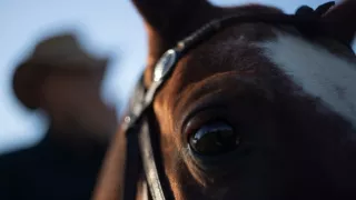 Měnící se planeta (1/2)