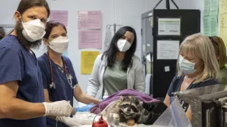 Měnící se planeta (1/2)