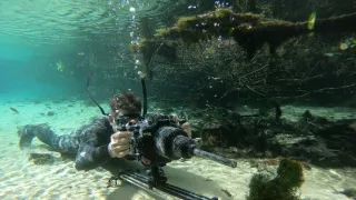 Zázračná planéta: Zelená planéta (2/5)