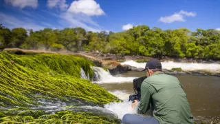 Zázračná planéta: Zelená planéta (2/5)