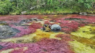 Zázračná planéta: Zelená planéta (2/5)