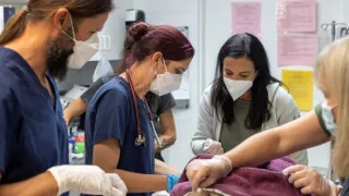 Měnící se planeta (1/2)