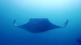 Měnící se planeta (1/2)