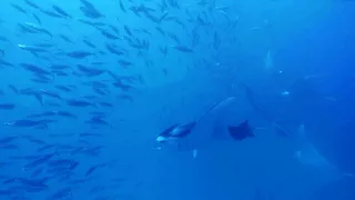 Měnící se planeta (1/2)