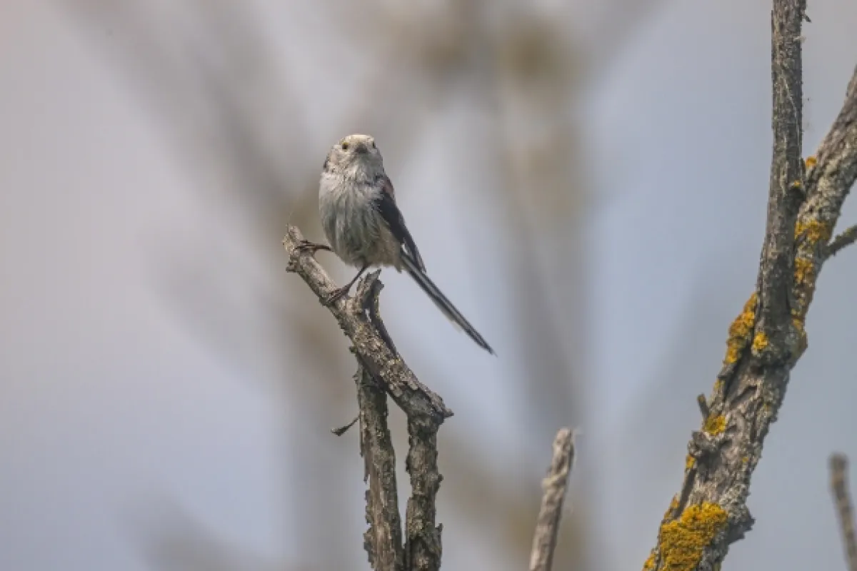 Přírodní divy Bílých Karpat - fotogaléria