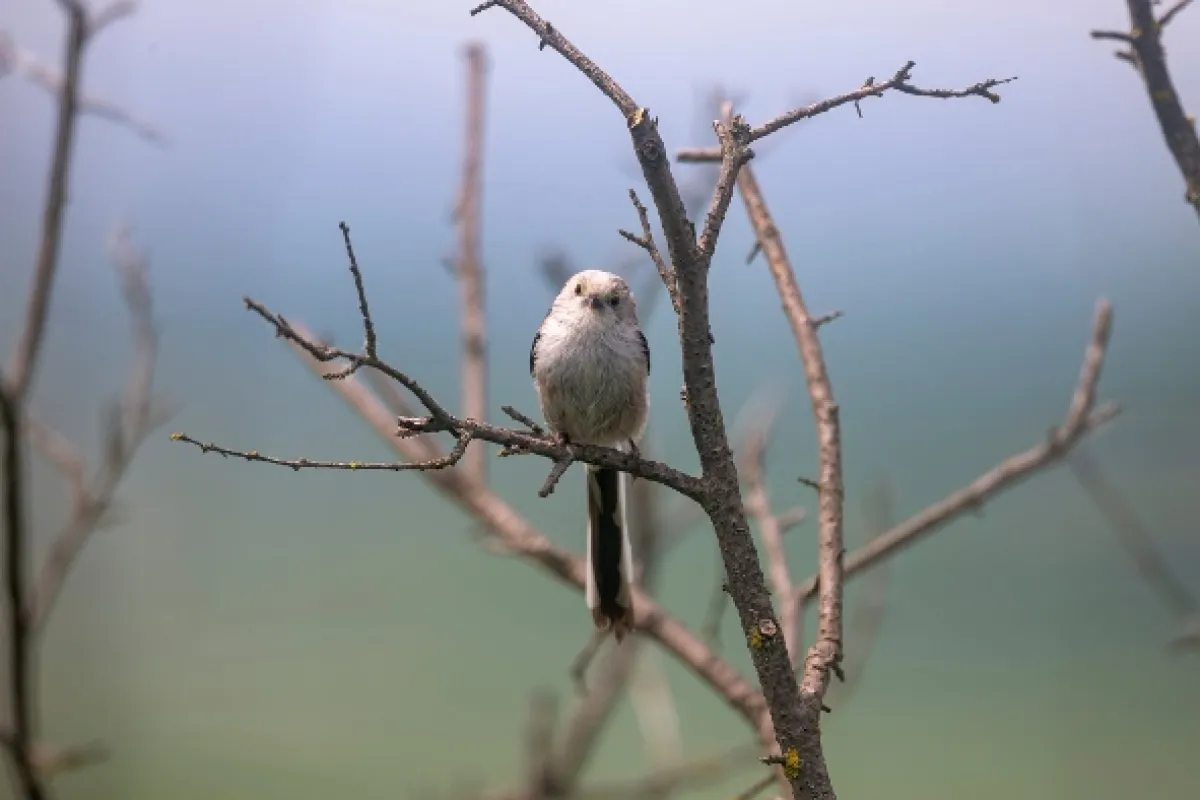 Přírodní divy Bílých Karpat - fotogaléria