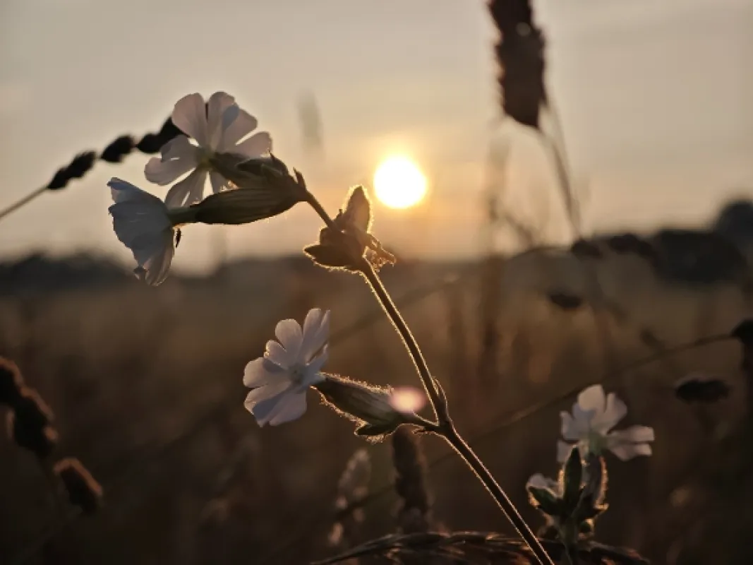 Přírodní divy Bílých Karpat - fotogaléria
