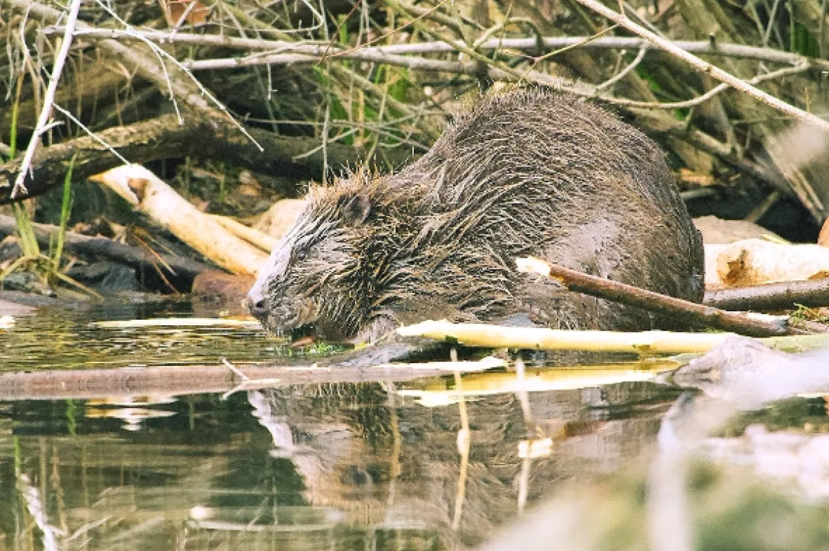 Přírodní divy Bílých Karpat - fotogaléria