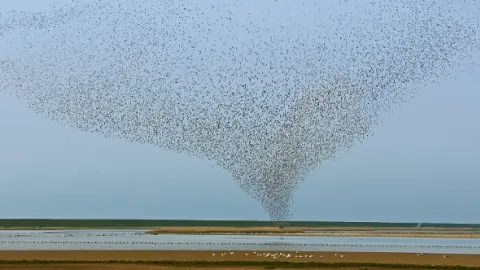 Nezkrotná Skandinávie (2)