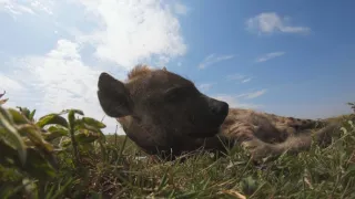 Zázračná planeta: Dynastie II (5/6)